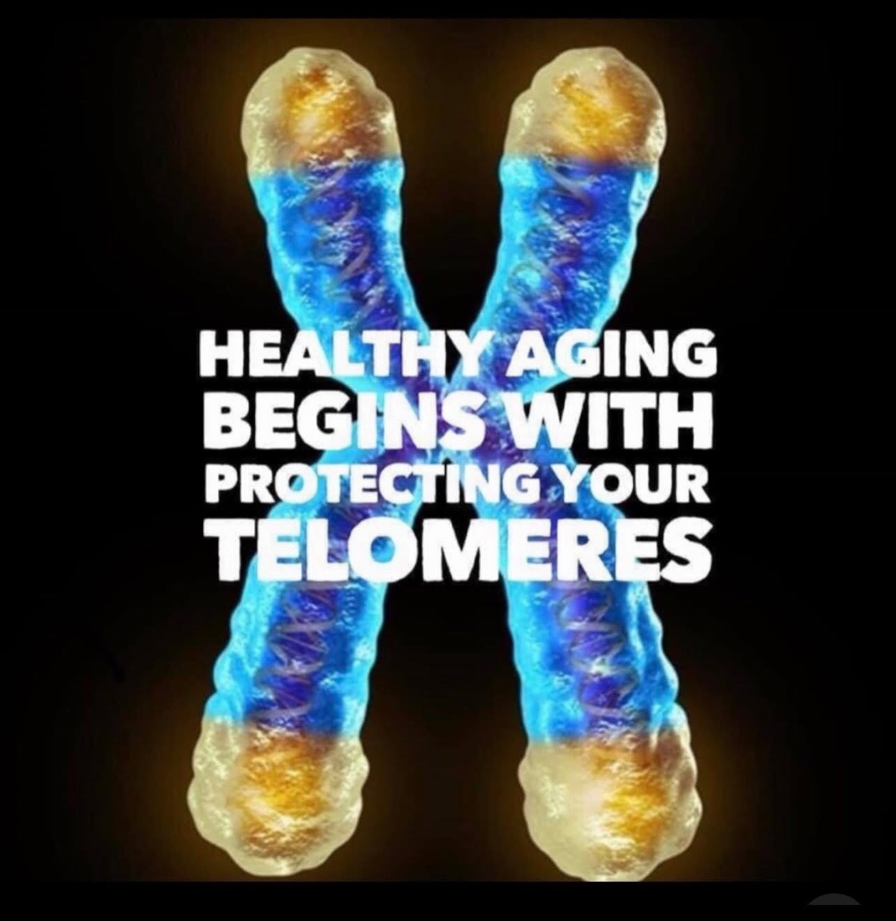 A chromosome with its telomere caps highlighted, captioned “Healthy aging begins with protecting your telomeres”